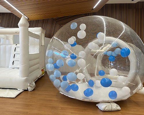 Bubble House - Image 2