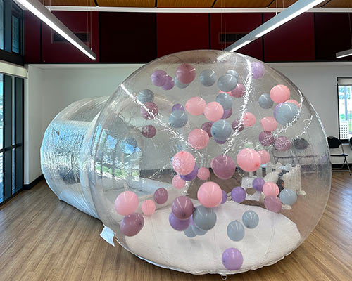 Bubble House - Image 6